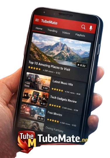 User-Friendly Interface